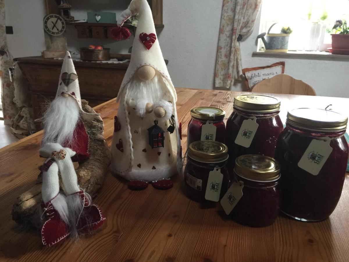 B&B La Casa Delle Bambole Panchia Εξωτερικό φωτογραφία